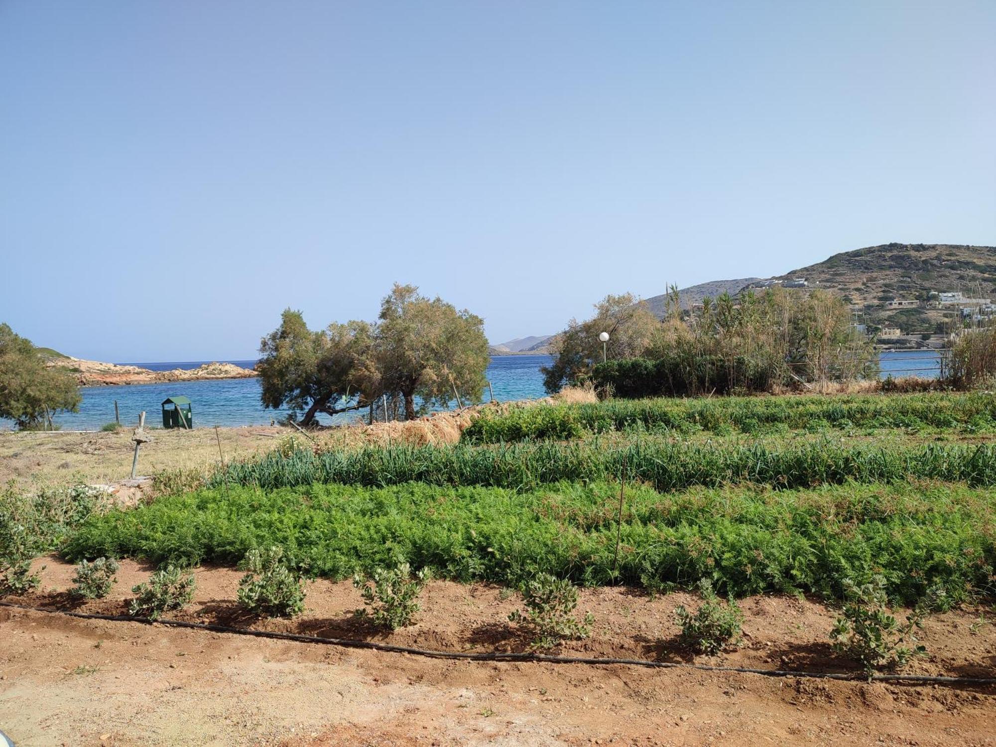 White Lotus Seaside Apartment Κίνι Εξωτερικό φωτογραφία