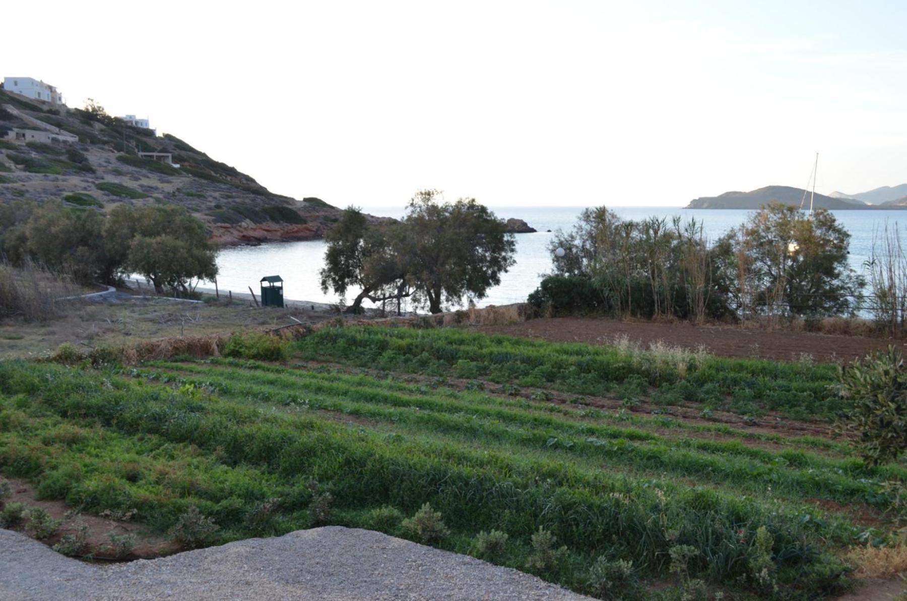 White Lotus Seaside Apartment Κίνι Εξωτερικό φωτογραφία